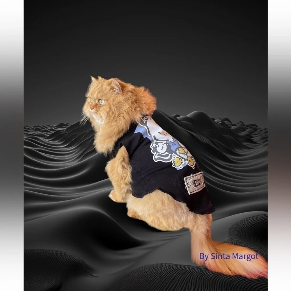 Digital art and photography by me of my Persian can . Print of cat for wall art